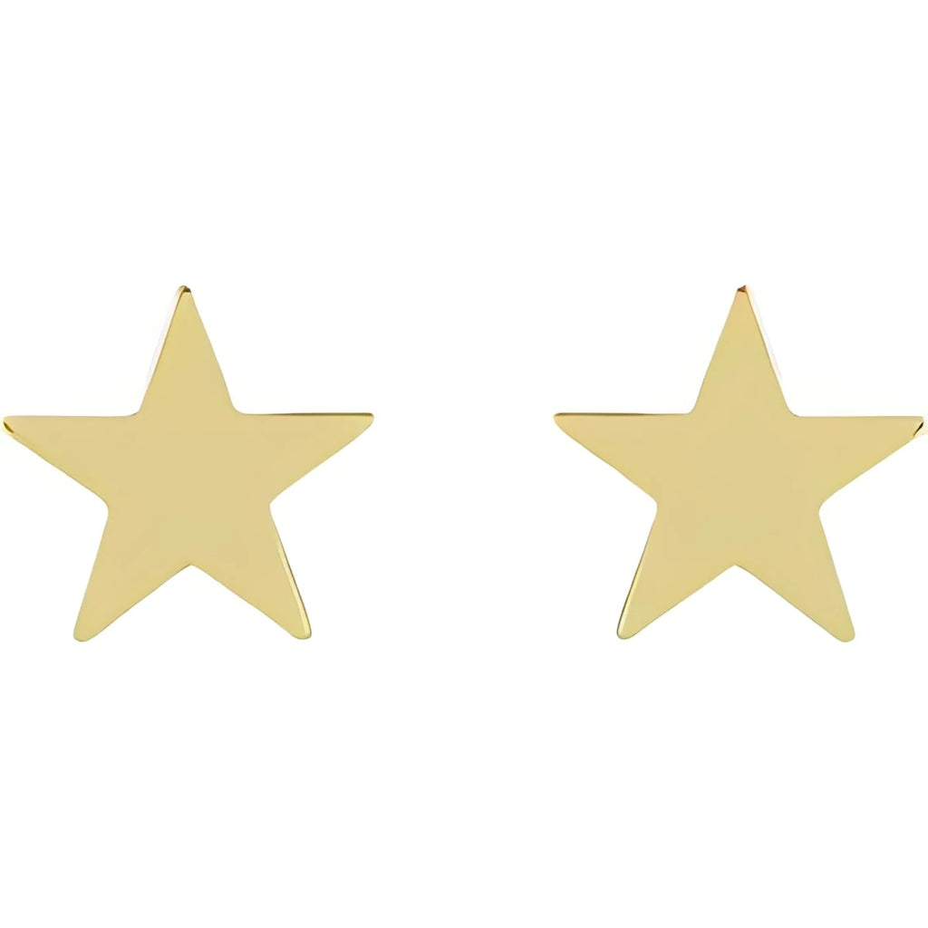 14K White Gold 4 mm Star Friction Post & Back Earrings
