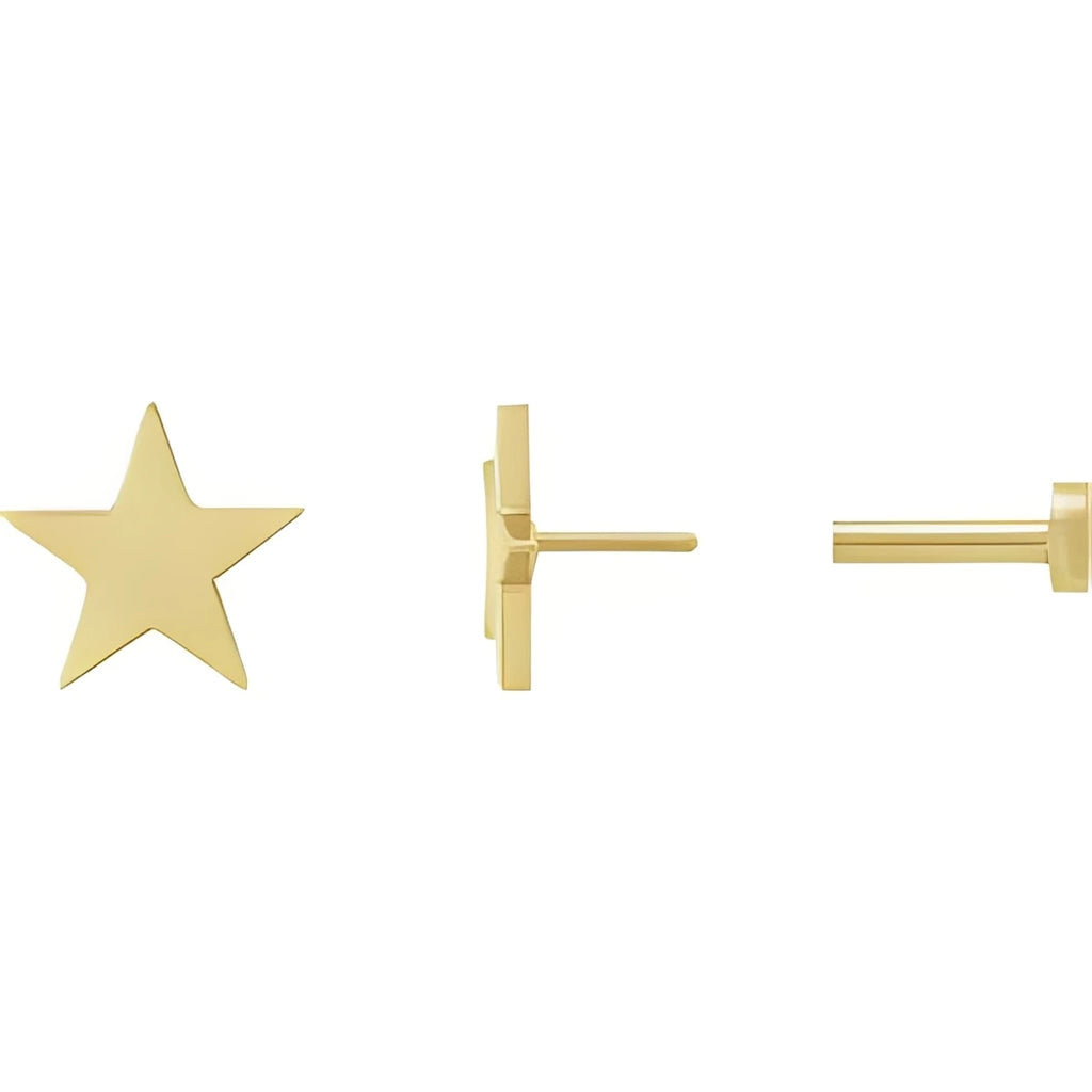 14K White Gold 4 mm Star Friction Post & Back Earrings