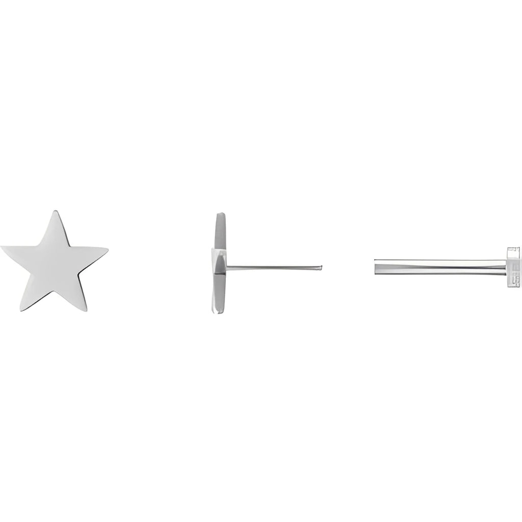 14K White Gold 4 mm Star Friction Post & Back Earrings