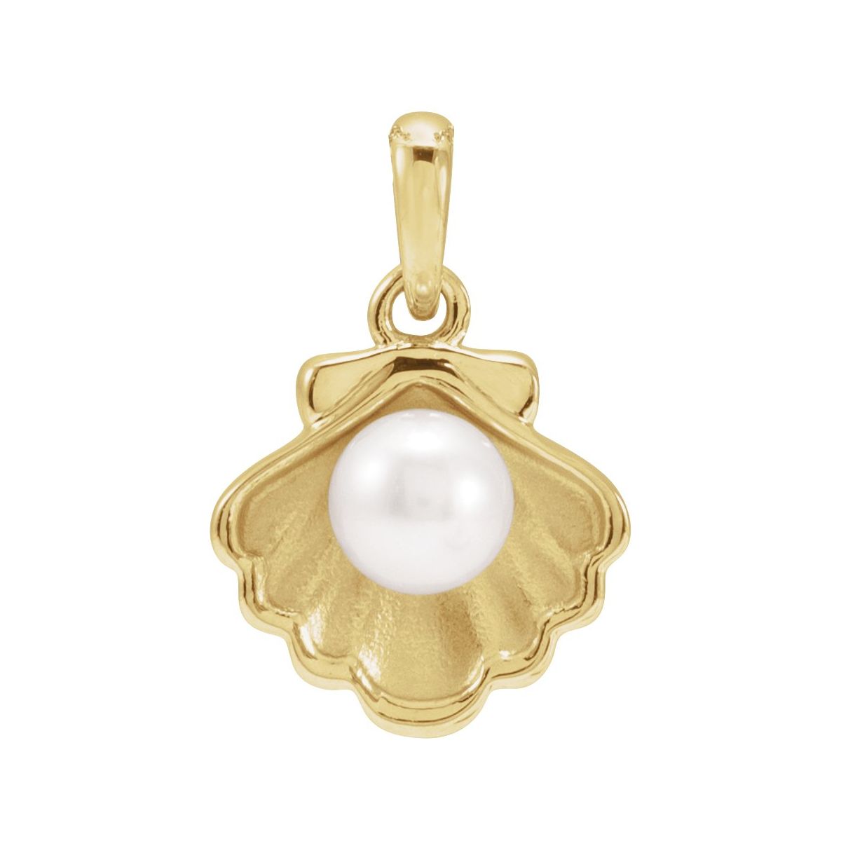 14K Yellow Gold Cultured White Freshwater Pearl Shell Charm/Pendant