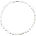 14K Yellow Gold Cultured White Freshwater Pearl 18" Necklace