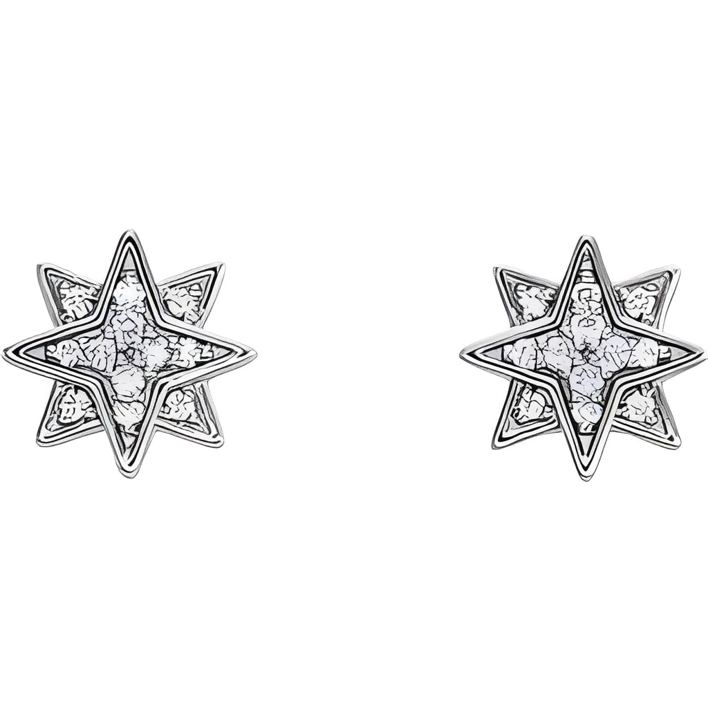 14K White Gold .08 CTW Natural Diamond Star Earrings