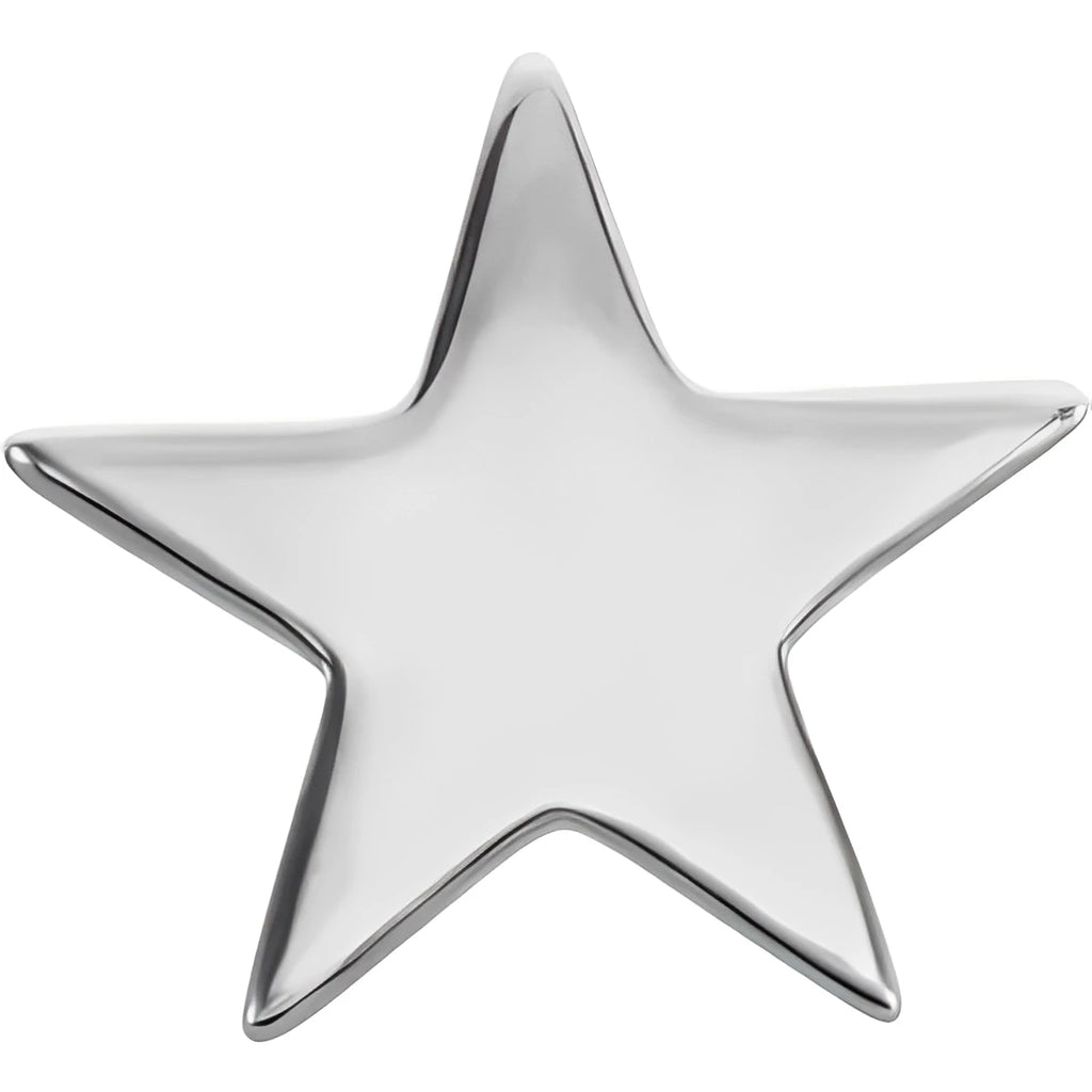 14K White Gold 4 mm Star Friction Post & Back Earrings
