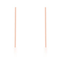 Carolee Rose Gold Stainless Steel Long Line Drop Earrings